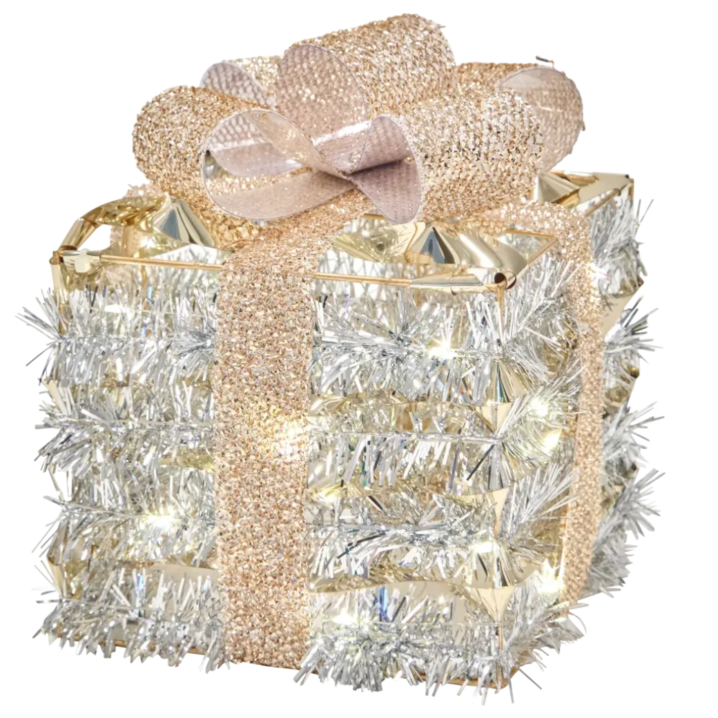 Cadeau met led | Action NL