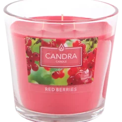 Candra geurkaars | Action NL
