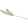 Excellent Flowers kunst-eucalyptus op steel | Action NL