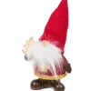Kerst gnoom | Action NL