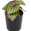 Kunstplantje in pot | Action NL