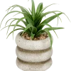 Kunstvetplantje in pot | Action NL