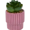 Kunstvetplantje in pot | Action NL