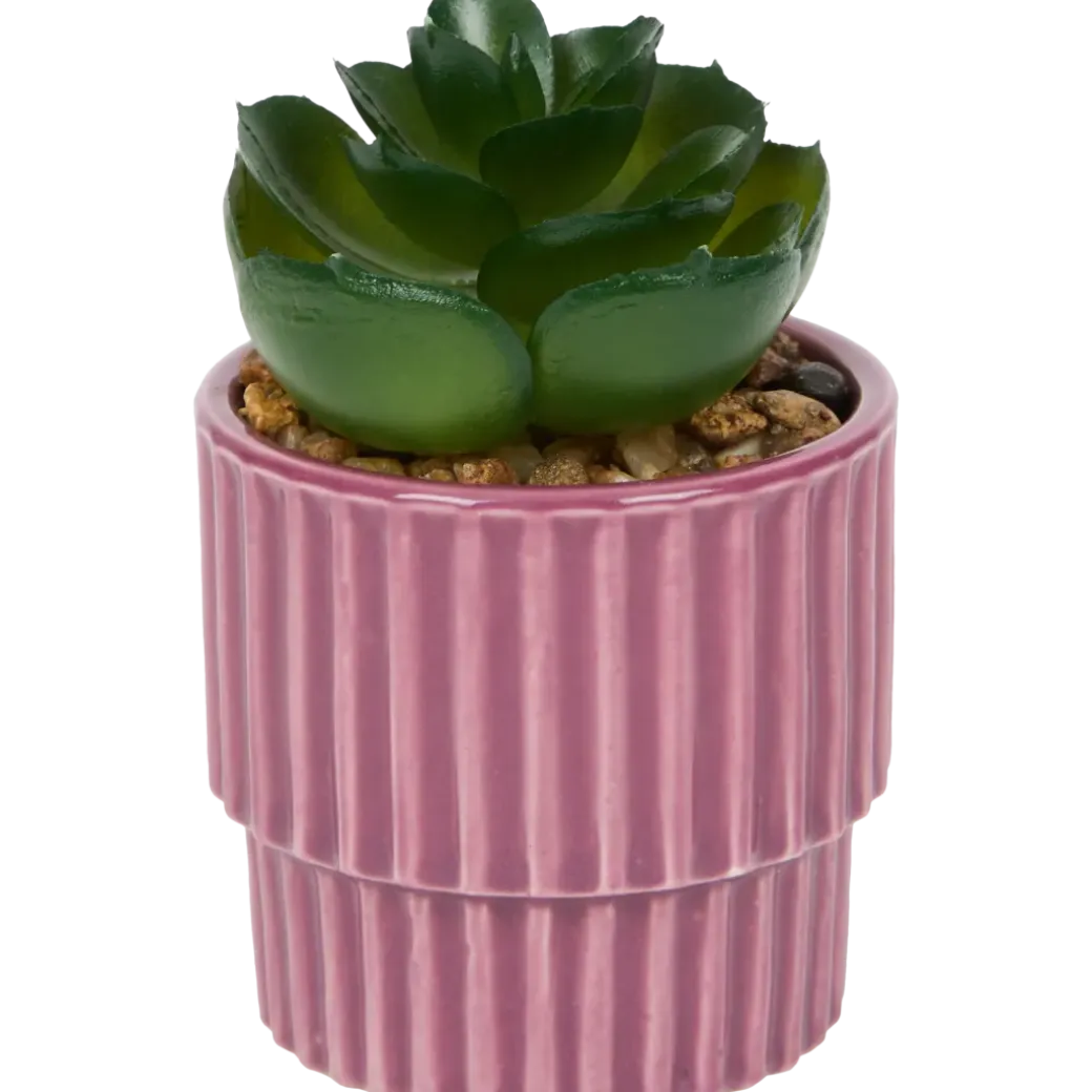 Kunstvetplantje in pot | Action NL
