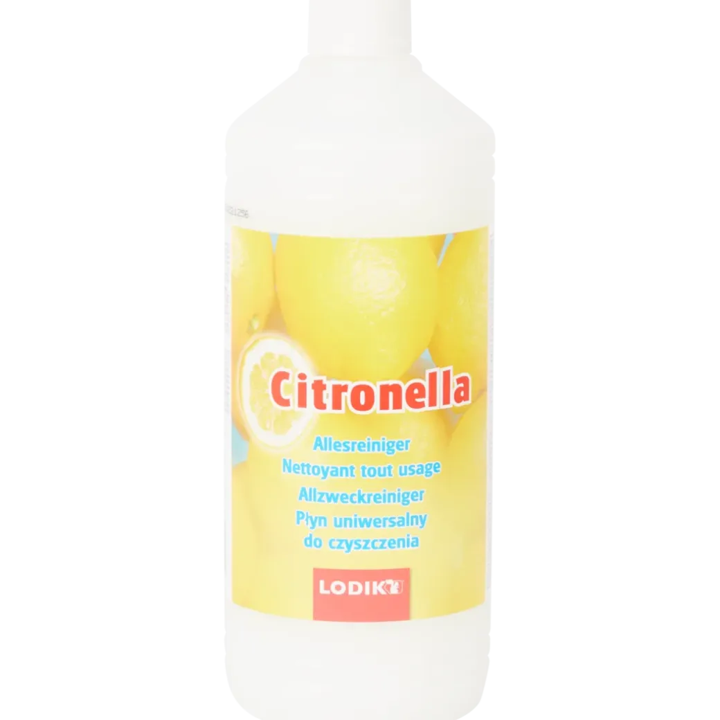 Lodik allesreiniger Citronella | Action NL