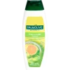 Palmolive Naturals shampoo Fresh & Volume | Action NL