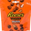 Reese's Peanut Butter Cups Mini's | Action NL