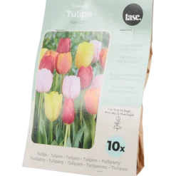 Tulpenbollen | Action NL